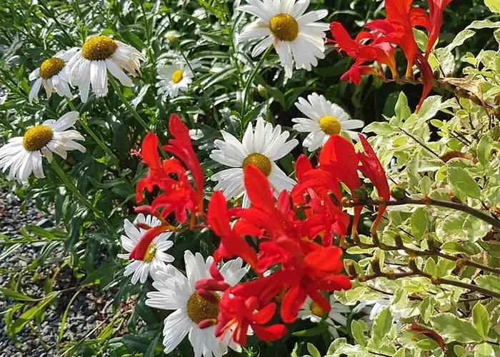 Casa de Férias Esprit Gouville-sur-Mer