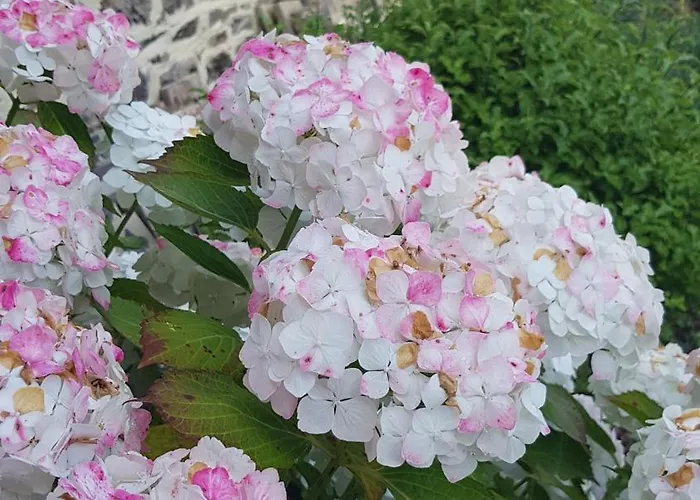 Esprit Casa de Férias *