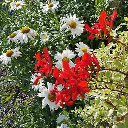 Hébergement de vacances Esprit Gouville-sur-Mer