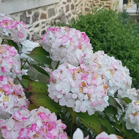 Esprit Σπίτι διακοπών *