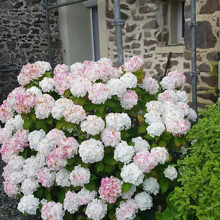 Σπίτι διακοπών Esprit *