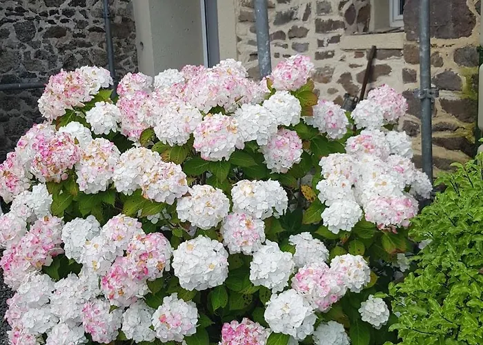 Holiday home Esprit *